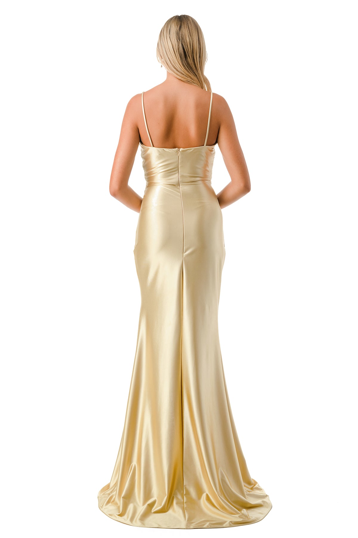 D601_GOLD_back