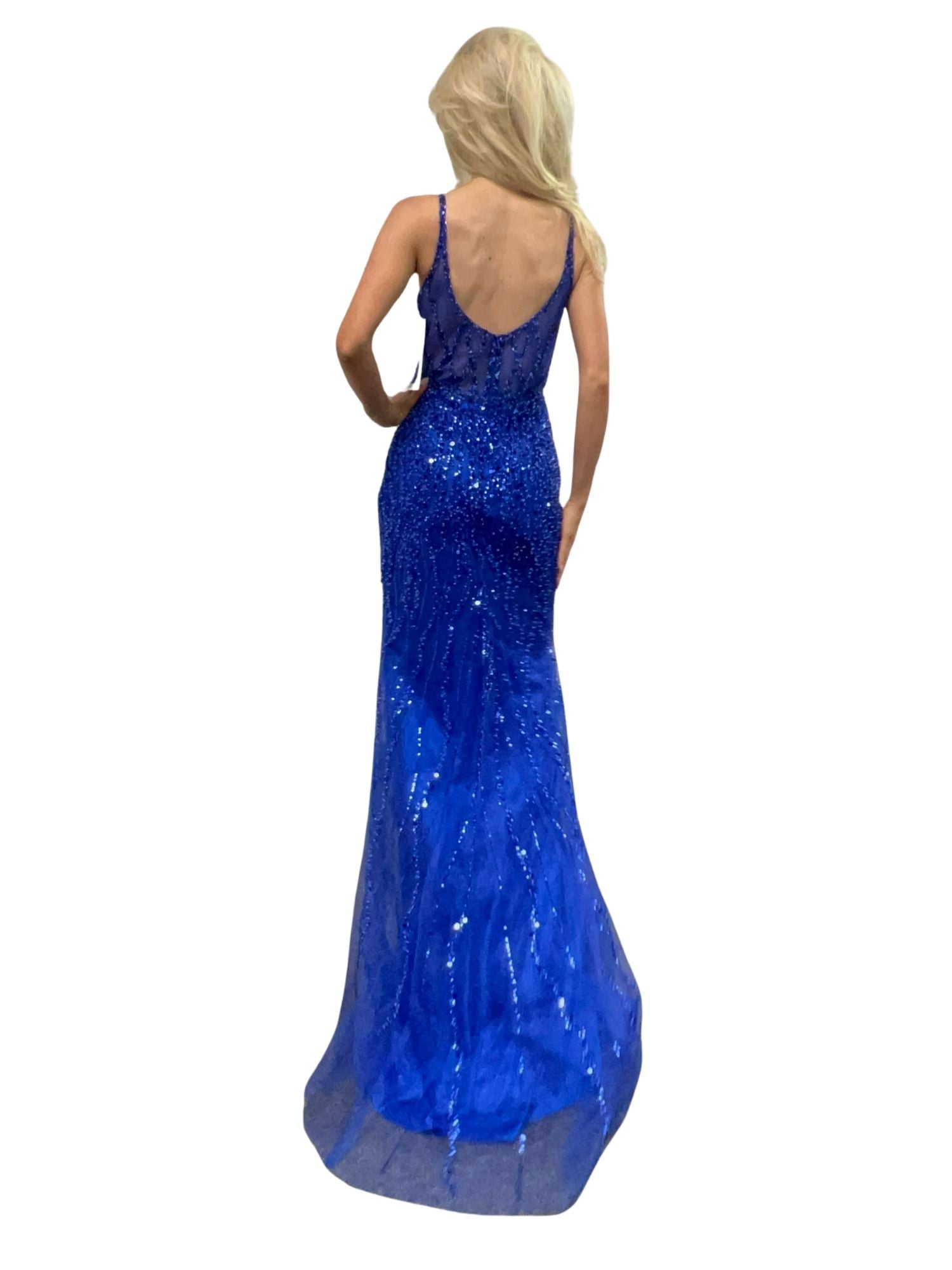 TL3037C_ROYAL_back